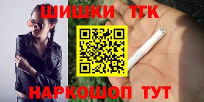 индика Кингисепп