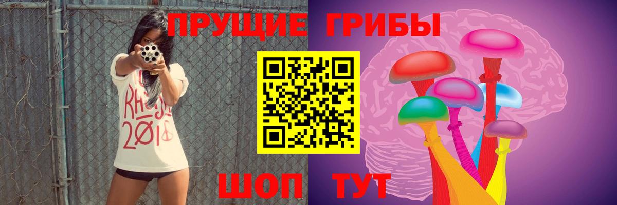Галлюциногенные грибы Psilocybe  Вход с VPN  Касимов 