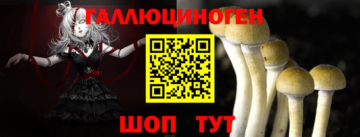 Псилоцибиновые грибы прущие грибы Касимов